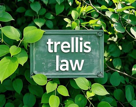 trellis legal research|Judge Research .